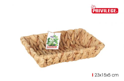Bandeja Jacinto De Agua Retangular 23x15x5cm — referência 36506YF353S