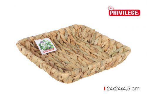 Bandeja Jacinto De Agua Quadrada 24x24x4.5cm — referência 36506YF374M