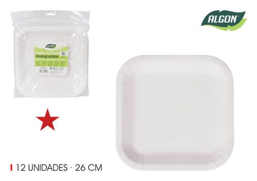 Set12 Placa Quadrada De Cart+o 26cm Algon — vista 1